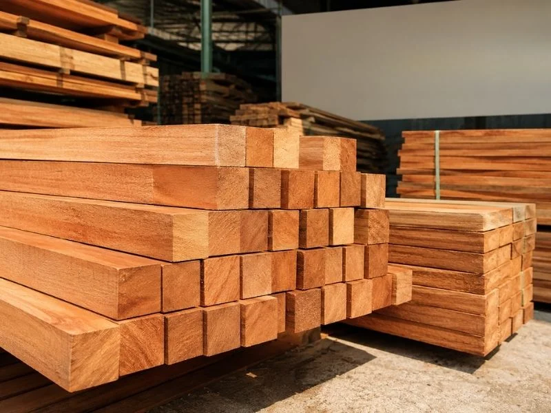 Kayu Racuk Sumatra
